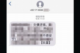 沧源如何避免债务纠纷？专业追讨公司教您应对之策